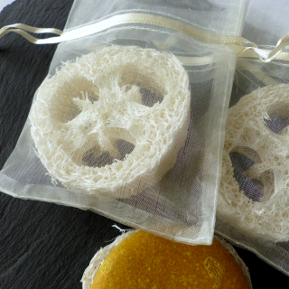 Lufa - kolečko v sáčku